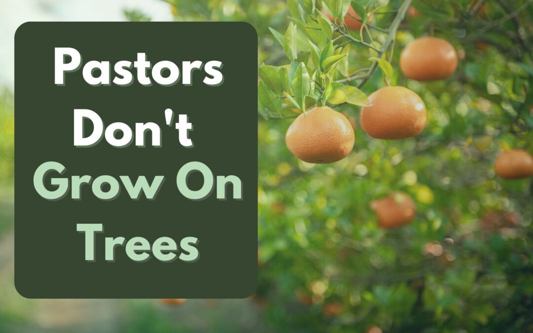 Pastors Don’t Grow On Trees