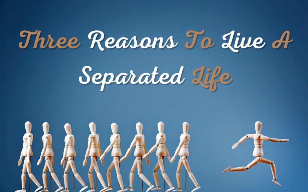 Separated Life