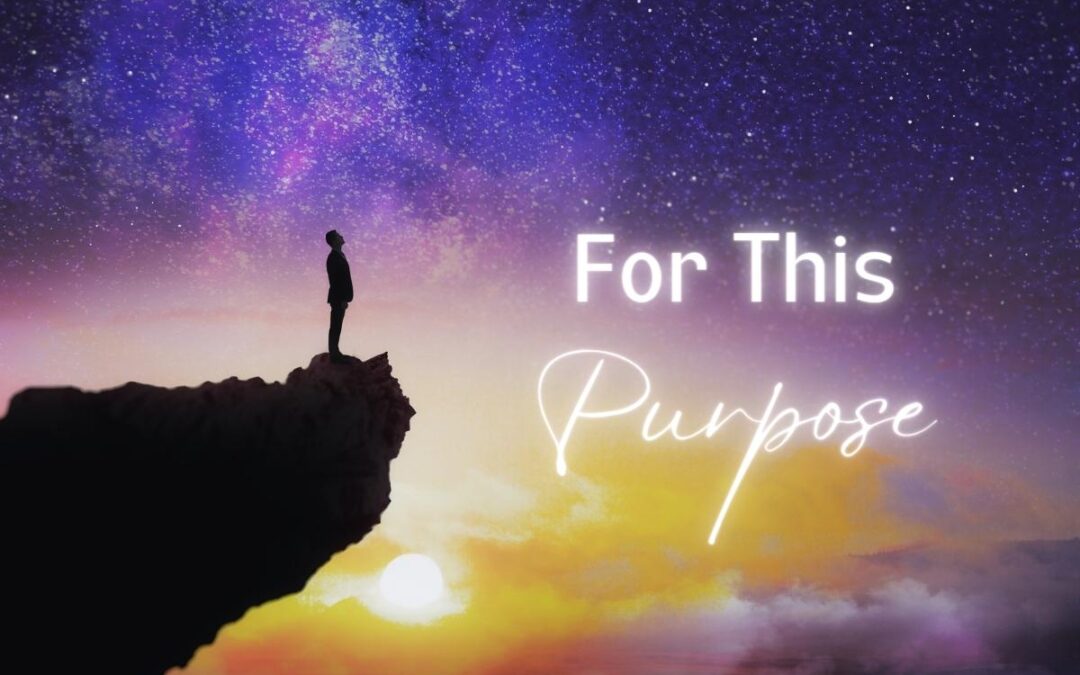 For This Purpose