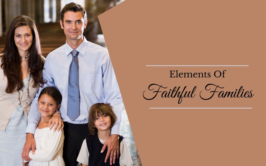 Elements Of Faithful Families